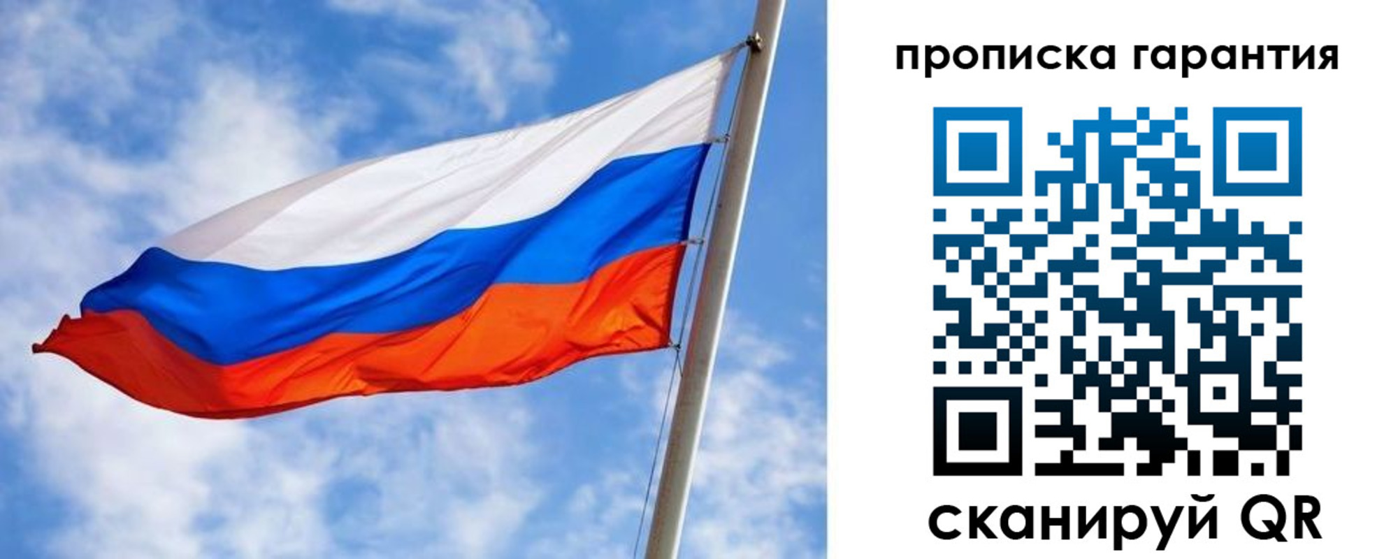 прописка гарантия в Скопине
